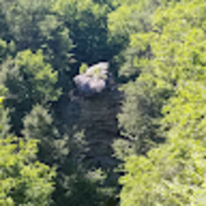 Meet your Posher, Greg